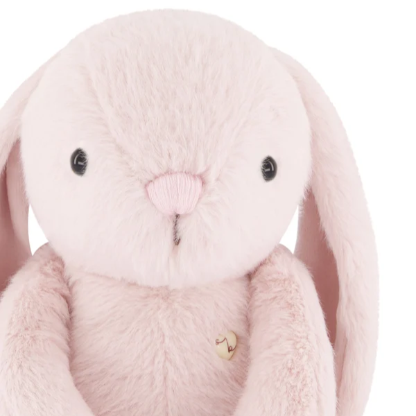 blossom pink plush bunny close up on white background