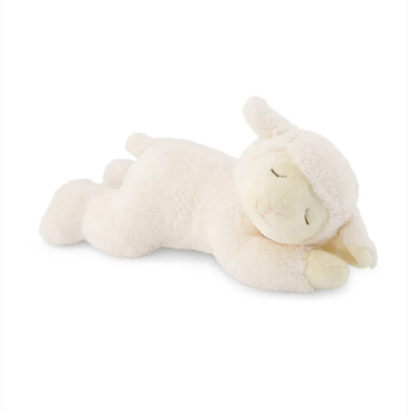 White lamb plush toy on a white background