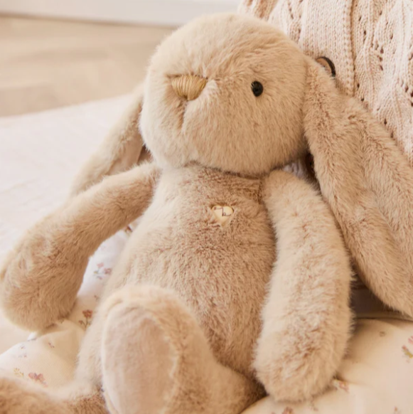 caramel coloured push bunny toy